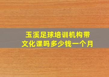 玉溪足球培训机构带文化课吗多少钱一个月