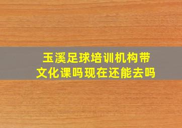 玉溪足球培训机构带文化课吗现在还能去吗