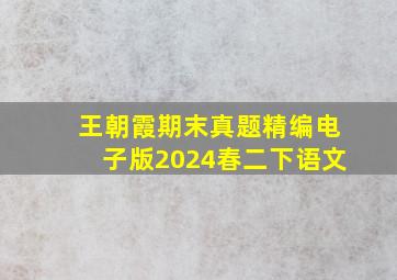 王朝霞期末真题精编电子版2024春二下语文