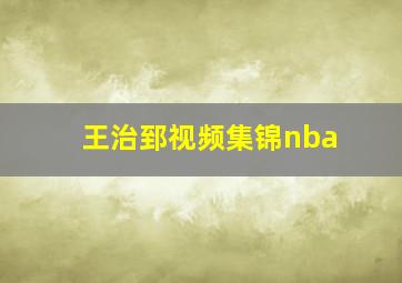 王治郅视频集锦nba