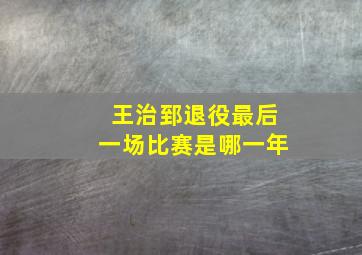 王治郅退役最后一场比赛是哪一年