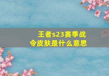 王者s23赛季战令皮肤是什么意思