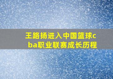 王路扬进入中国篮球cba职业联赛成长历程