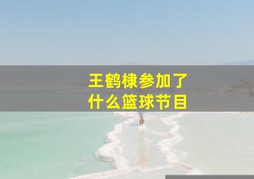 王鹤棣参加了什么篮球节目