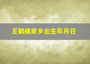 王鹤棣家乡出生年月日