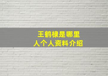 王鹤棣是哪里人个人资料介绍