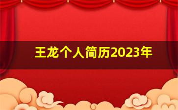 王龙个人简历2023年