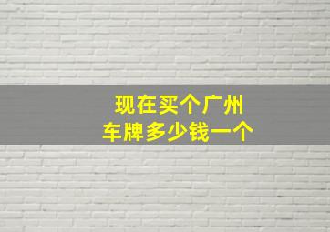 现在买个广州车牌多少钱一个