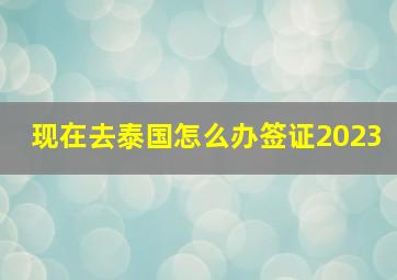 现在去泰国怎么办签证2023