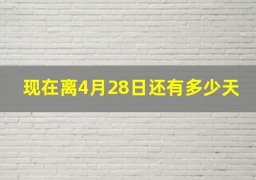 现在离4月28日还有多少天