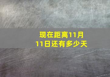 现在距离11月11日还有多少天