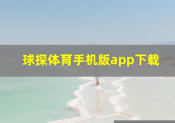 球探体育手机版app下载