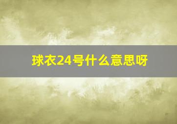 球衣24号什么意思呀