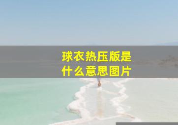 球衣热压版是什么意思图片