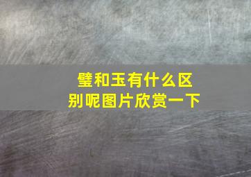 璧和玉有什么区别呢图片欣赏一下