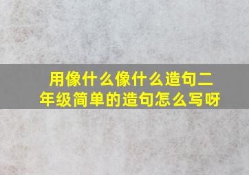 用像什么像什么造句二年级简单的造句怎么写呀