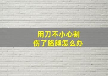 用刀不小心割伤了胳膊怎么办