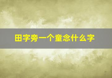 田字旁一个童念什么字