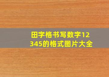 田字格书写数字12345的格式图片大全