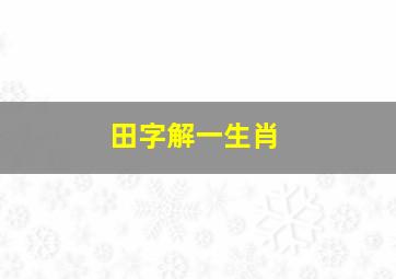 田字解一生肖