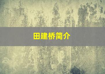 田建桥简介