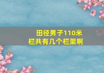 田径男子110米栏共有几个栏架啊