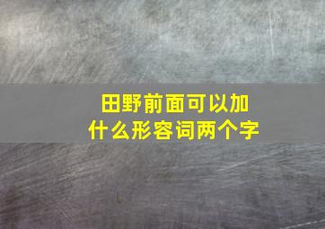 田野前面可以加什么形容词两个字