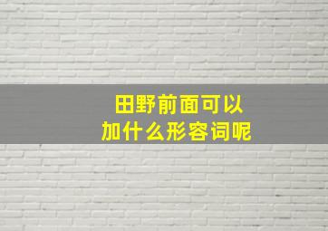 田野前面可以加什么形容词呢