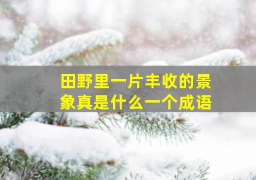 田野里一片丰收的景象真是什么一个成语