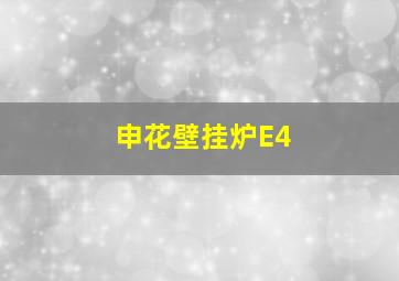 申花壁挂炉E4