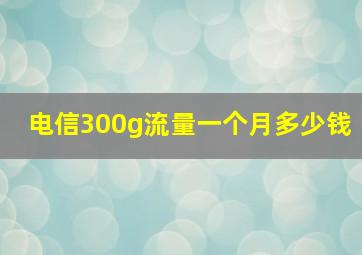 电信300g流量一个月多少钱