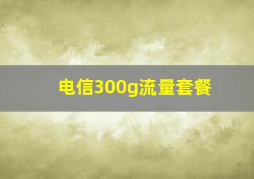 电信300g流量套餐