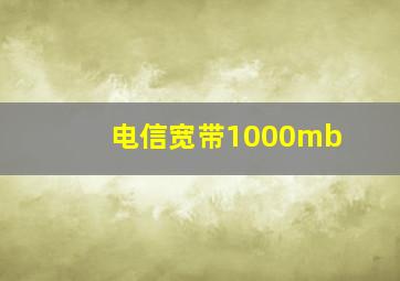 电信宽带1000mb