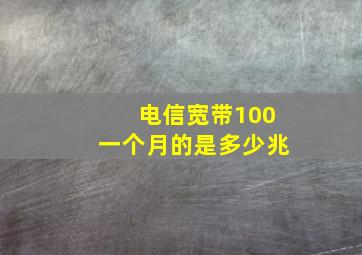 电信宽带100一个月的是多少兆