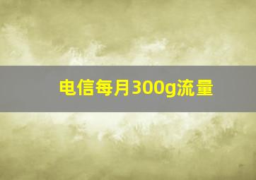 电信每月300g流量