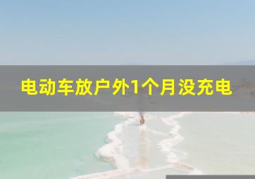 电动车放户外1个月没充电