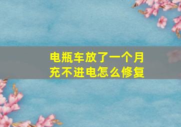 电瓶车放了一个月充不进电怎么修复