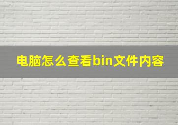 电脑怎么查看bin文件内容