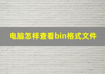 电脑怎样查看bin格式文件