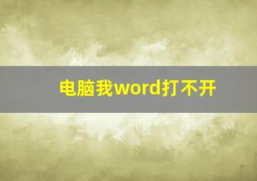 电脑我word打不开