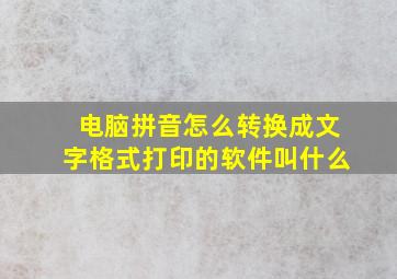 电脑拼音怎么转换成文字格式打印的软件叫什么