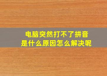 电脑突然打不了拼音是什么原因怎么解决呢