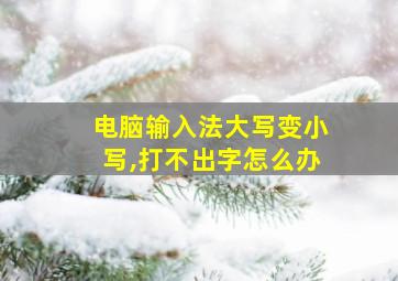 电脑输入法大写变小写,打不出字怎么办