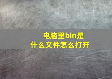 电脑里bin是什么文件怎么打开