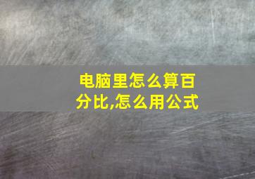 电脑里怎么算百分比,怎么用公式