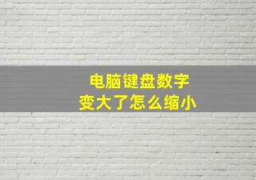 电脑键盘数字变大了怎么缩小