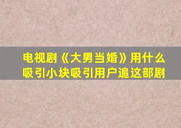 电视剧《大男当婚》用什么吸引小块吸引用户追这部剧