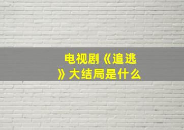 电视剧《追逃》大结局是什么