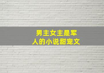 男主女主是军人的小说甜宠文