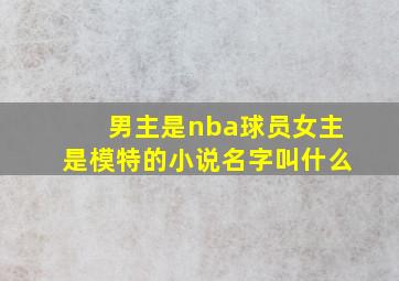 男主是nba球员女主是模特的小说名字叫什么